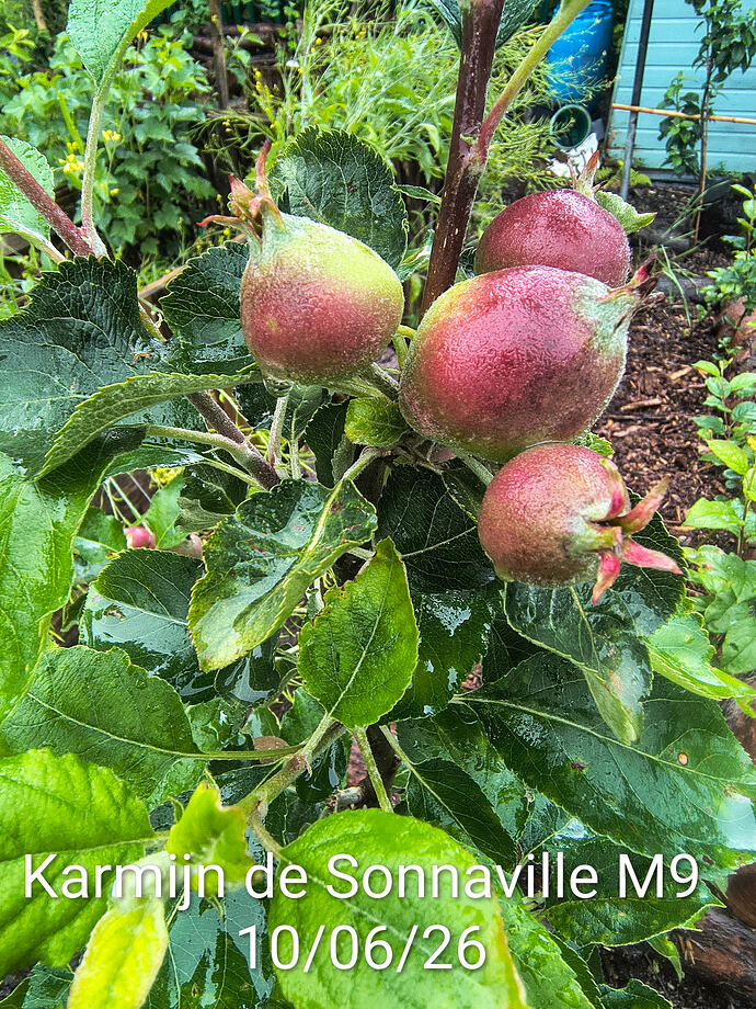 IMG_20260610_095150254_HDR~2