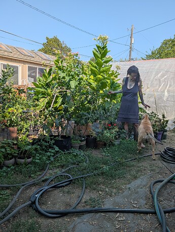 PXL_20250907_211949893