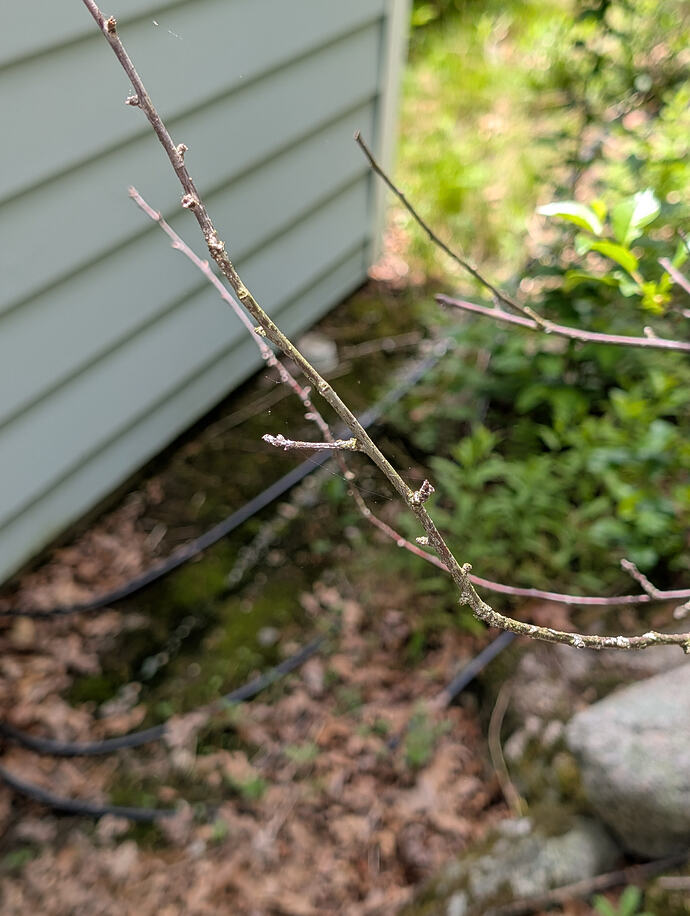 PXL_20260528_173057974