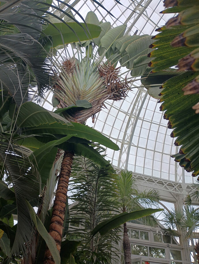 IMG_20260731_141822352_HDR