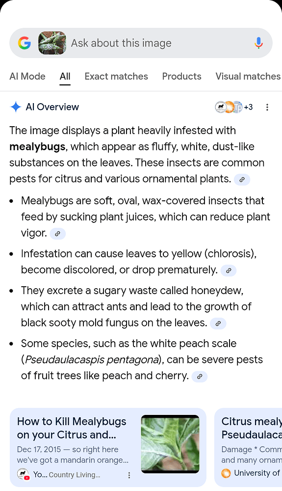 Screenshot_20251204-201302~2