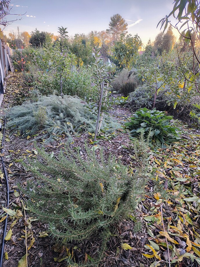 IMG_20251203_161505559_HDR_AE