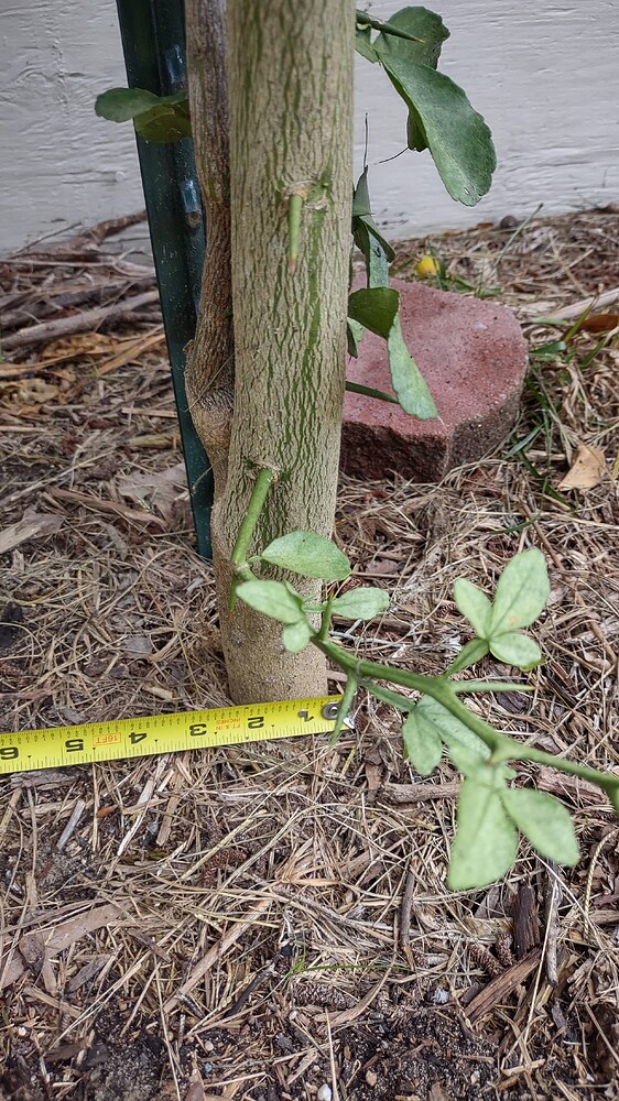 IMG_20250707_102659650_HDR