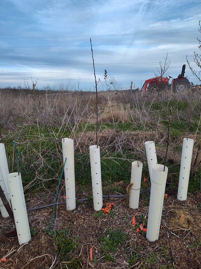 IMG_20260324_185538267_HDR