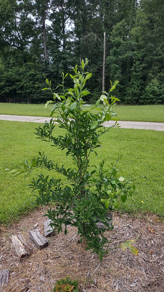 IMG_20250702_120053954_HDR