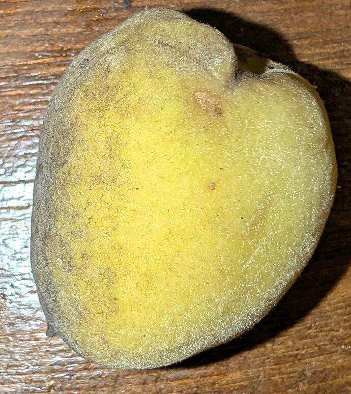 Javid Iranian Almond Fleshy Husk