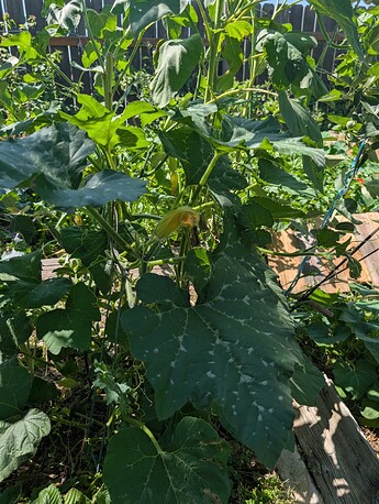 PXL_20250724_213413345