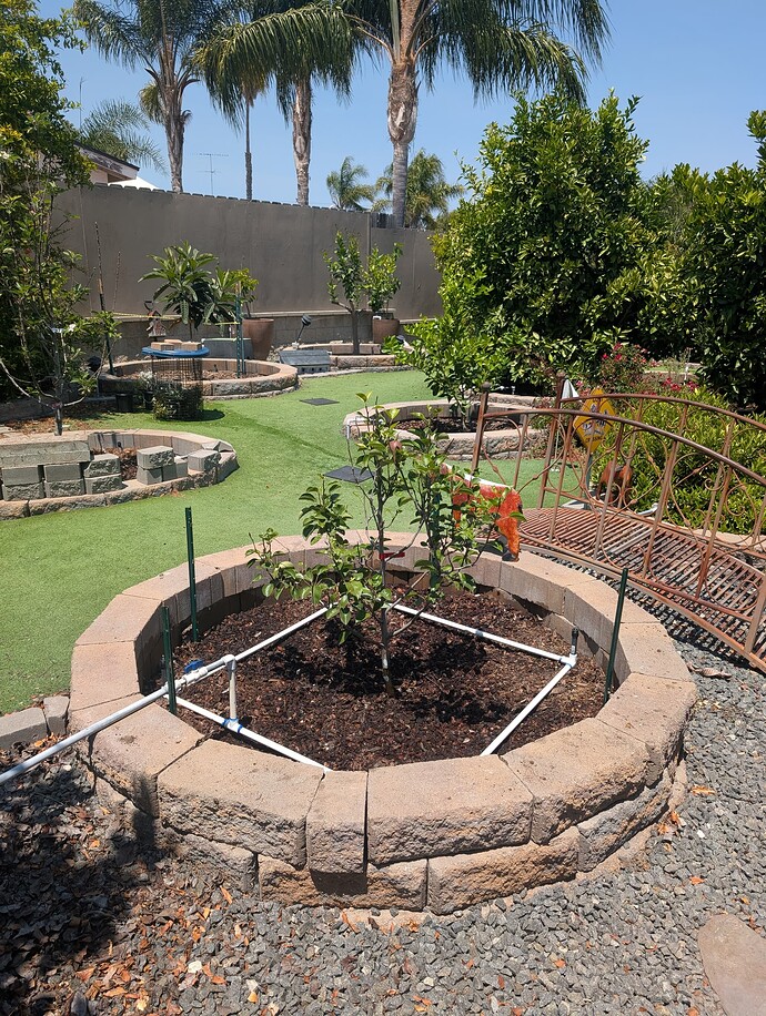 PXL_20250703_205622004