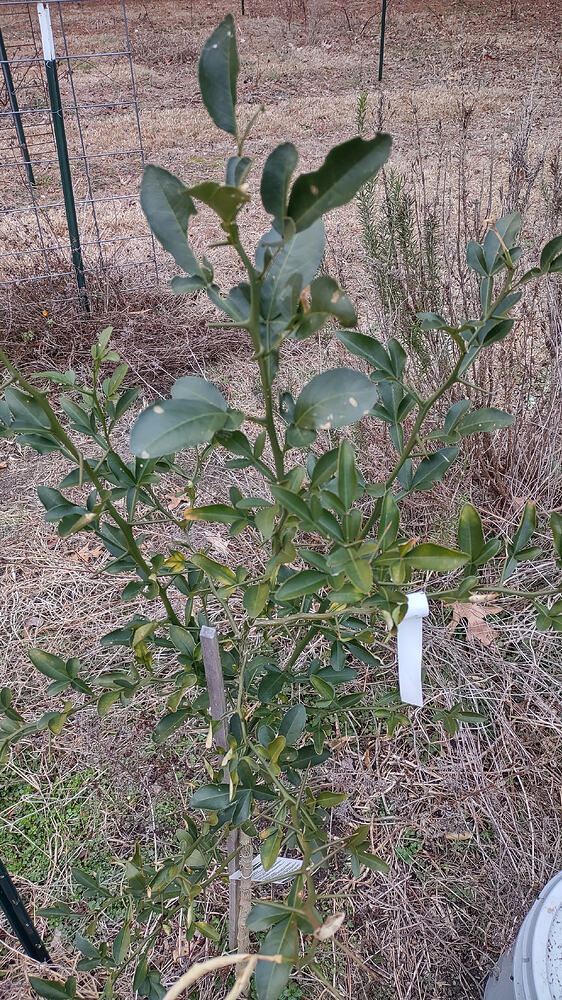 IMG_20260211_133834982_HDR