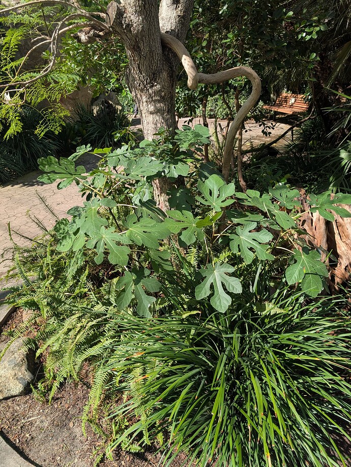 PXL_20251015_201053661