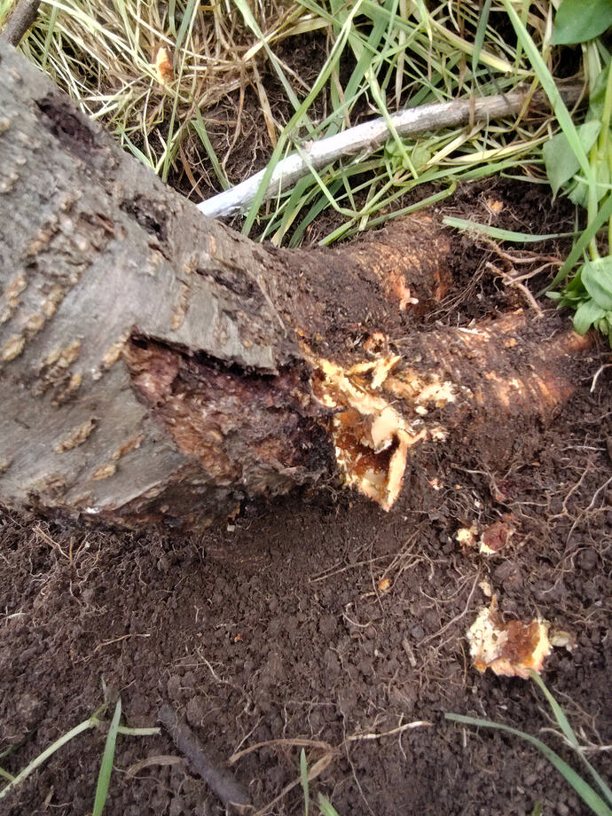 IMG_20260402_154021031_HDR