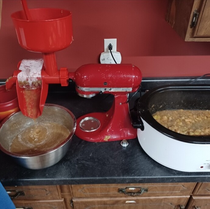 Screenshot_20251014_162941_Gallery