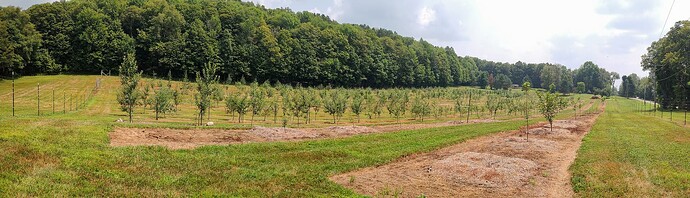 IMG_20250808_133447149