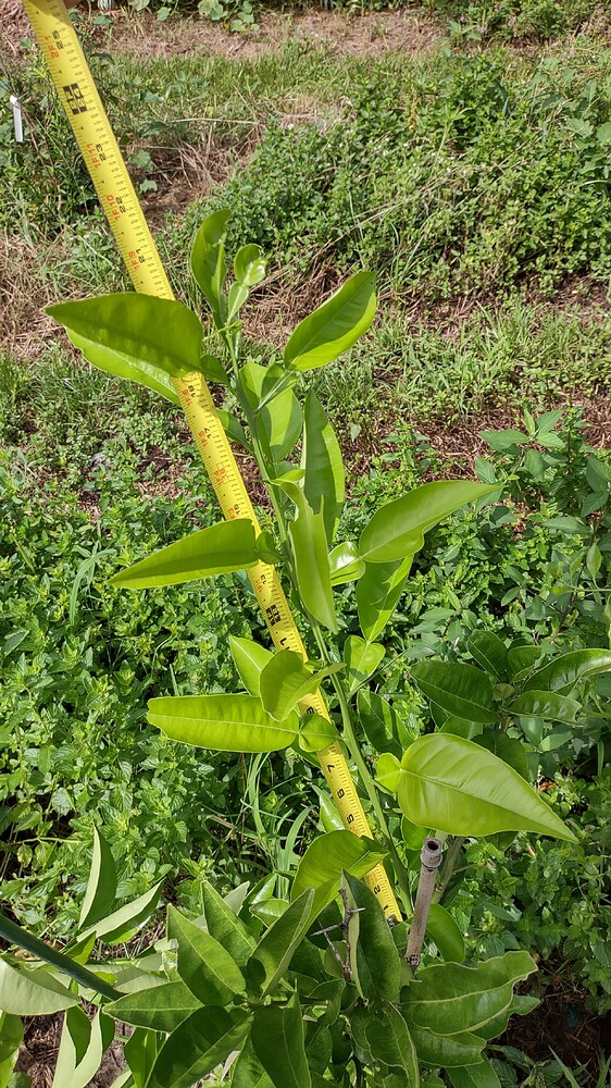 IMG_20250707_102804956_HDR