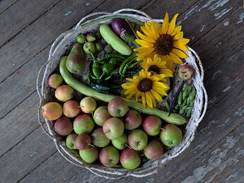 PXL_20250807_030643386