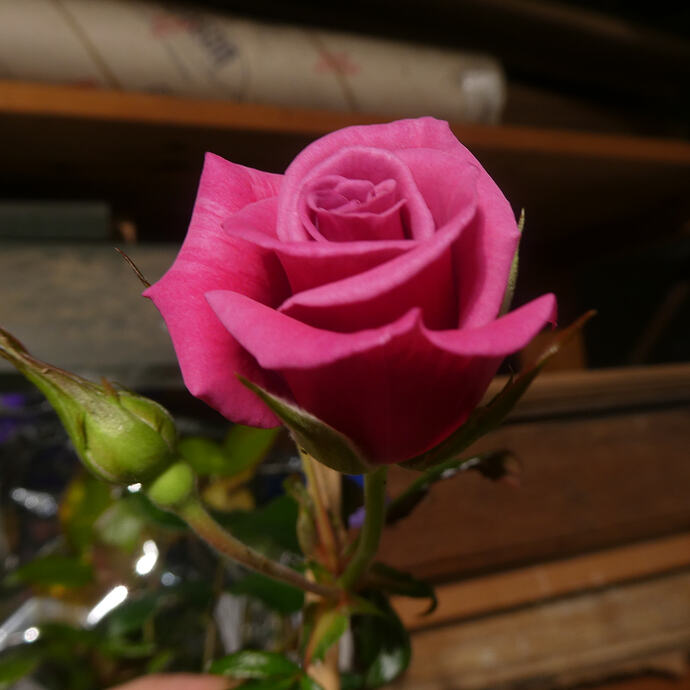 P1220267