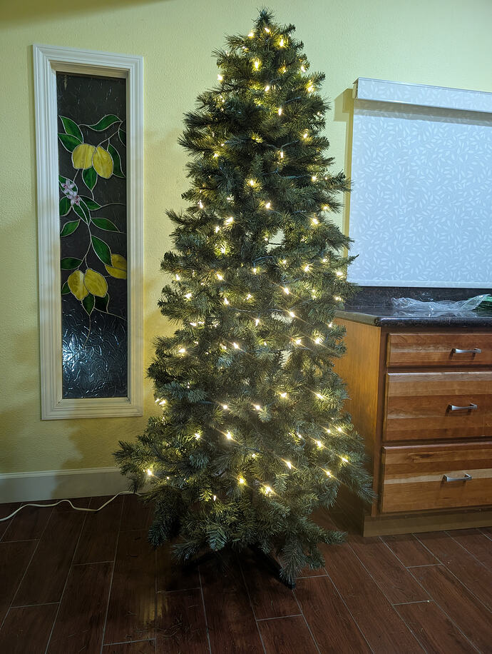 PXL_20260203_034348149