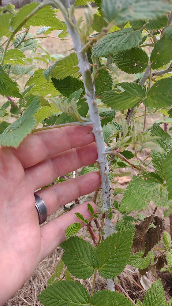 IMG_20251107_114929193