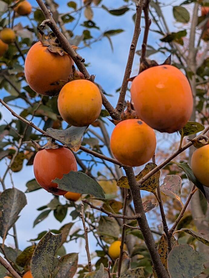 PXL_20251030_151710843