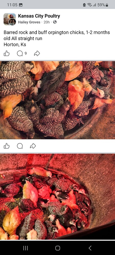 Screenshot_20260118_110526_Facebook