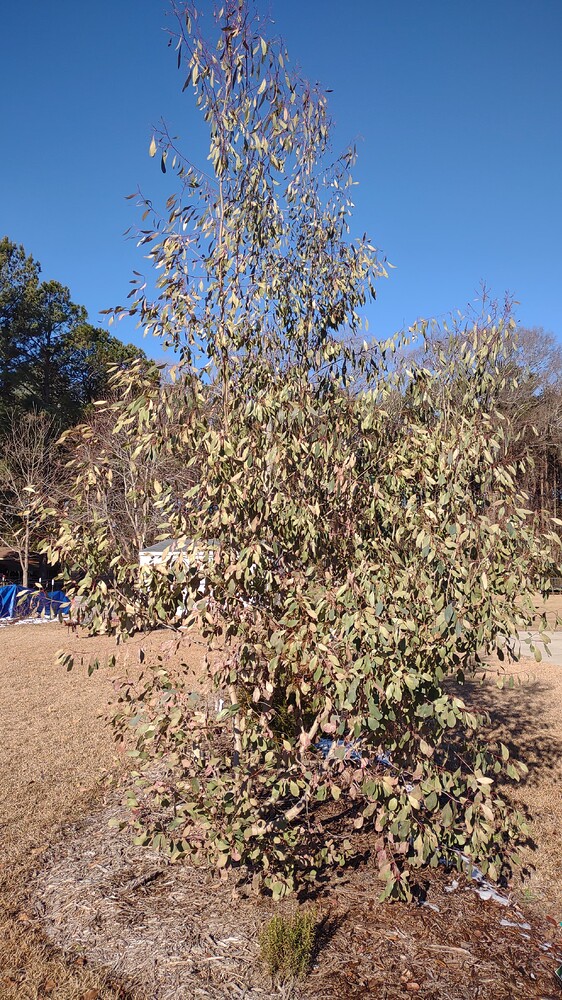 IMG_20250125_093612545