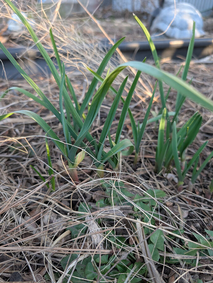 PXL_20260301_004025830