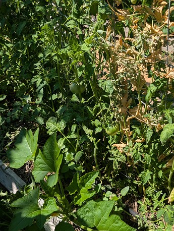 PXL_20250724_214303650