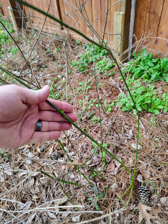 IMG_20260307_110913333_HDR_AE