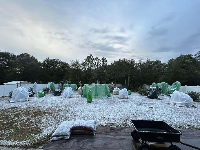 616245827_10238940818520787_1457031338521546066_n