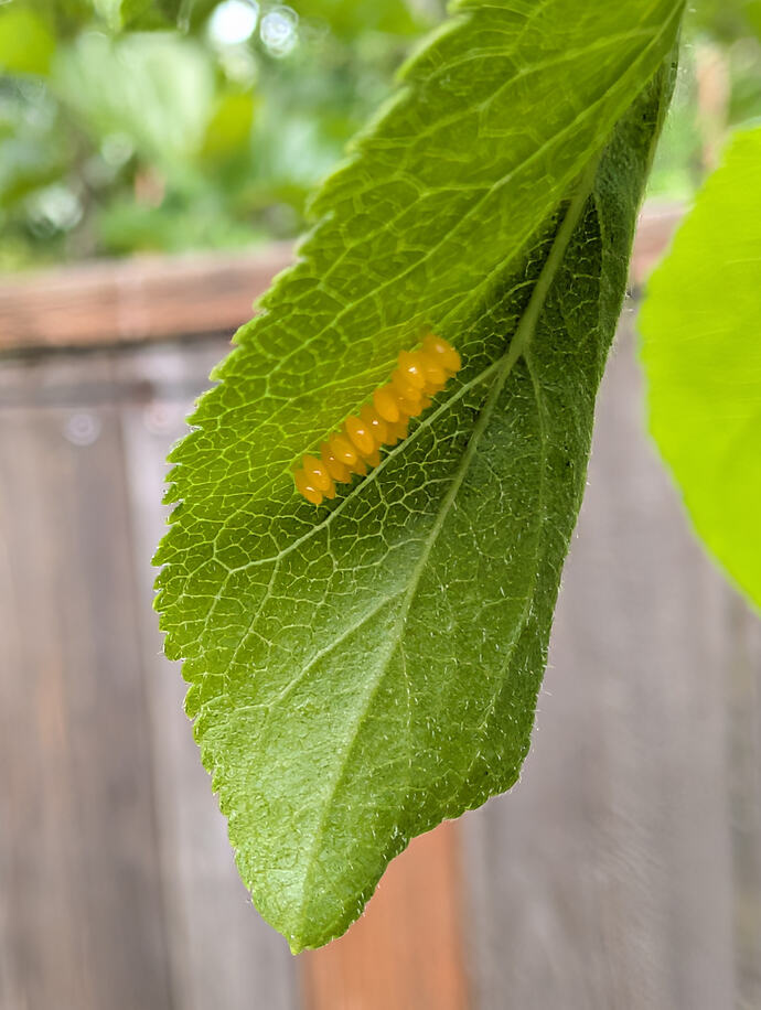 PXL_20260429_012823657