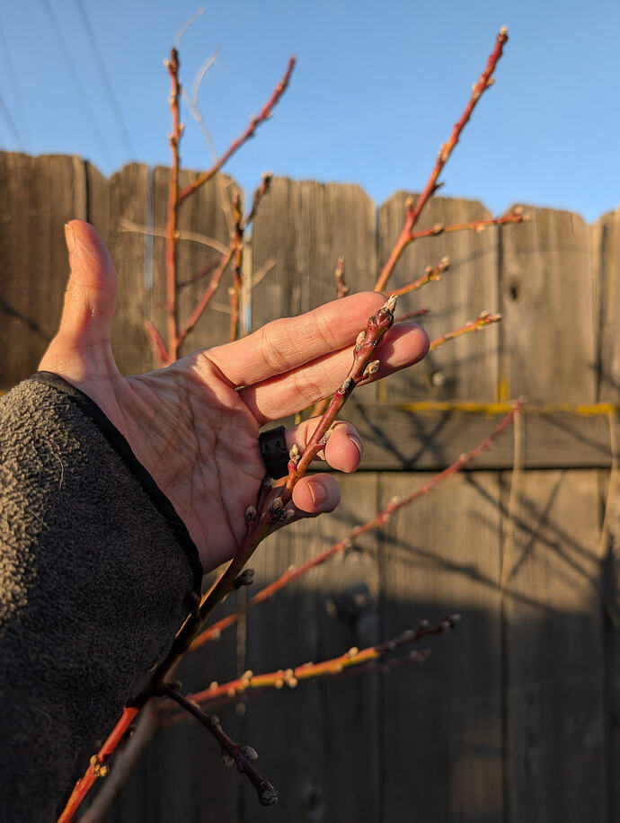 PXL_20260301_004121941