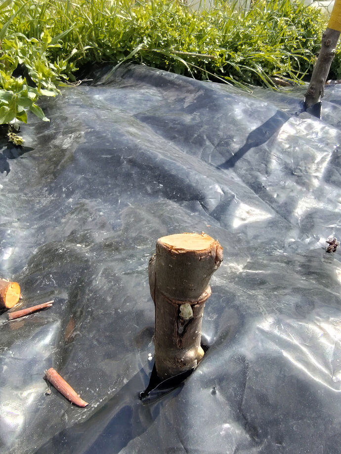 IMG_20260401_124757548_HDR