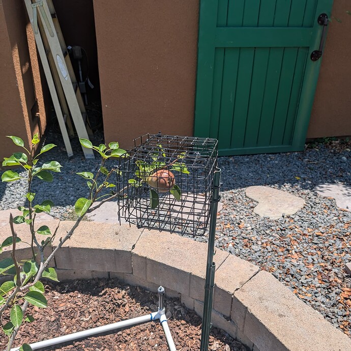 PXL_20250720_202515103