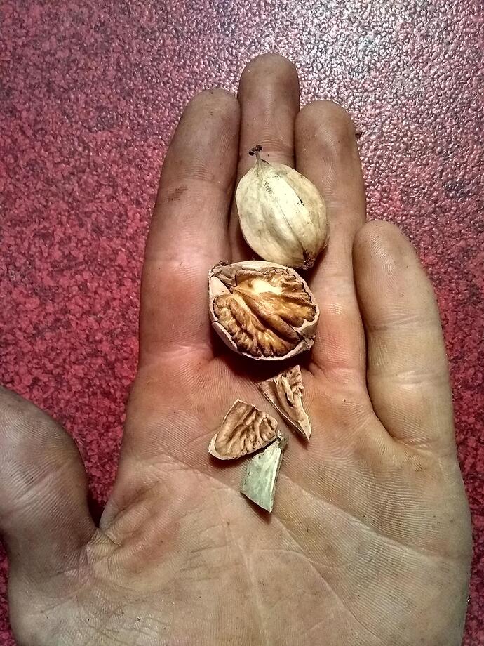 signal-2025-09-24-22-04-39-546