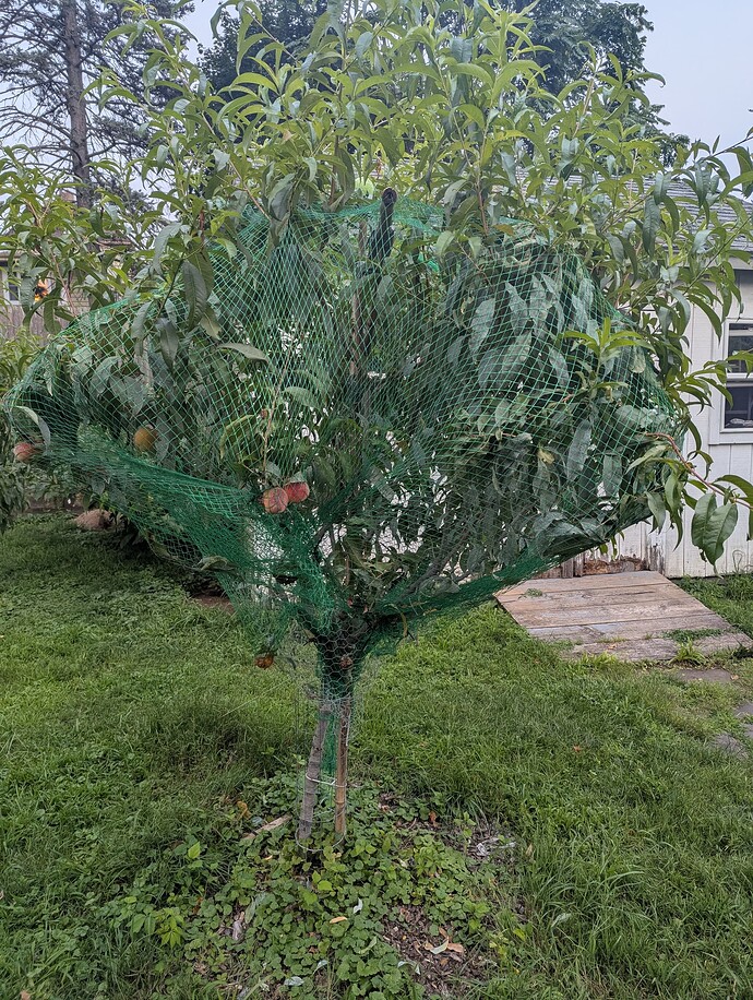 PXL_20250804_231427283