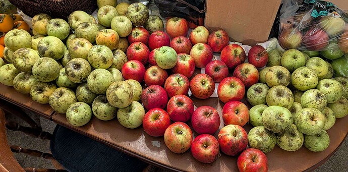 PXL_20251108_2243170032