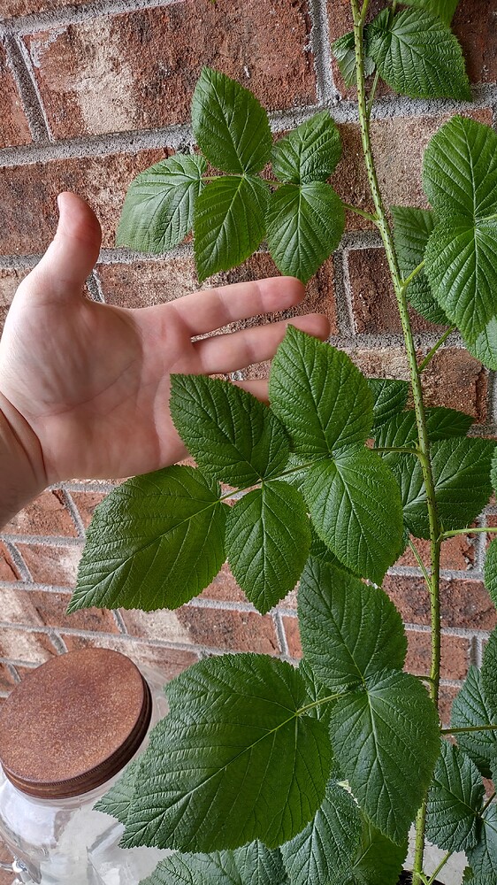 IMG_20251107_113507843_HDR