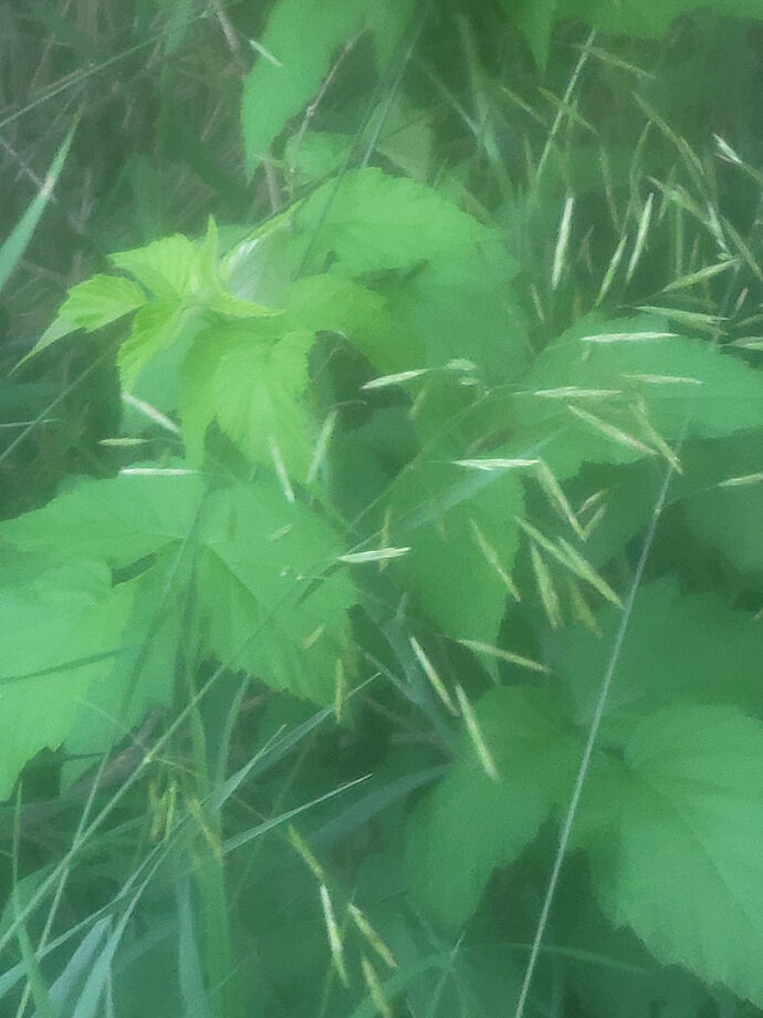 20260606_073418