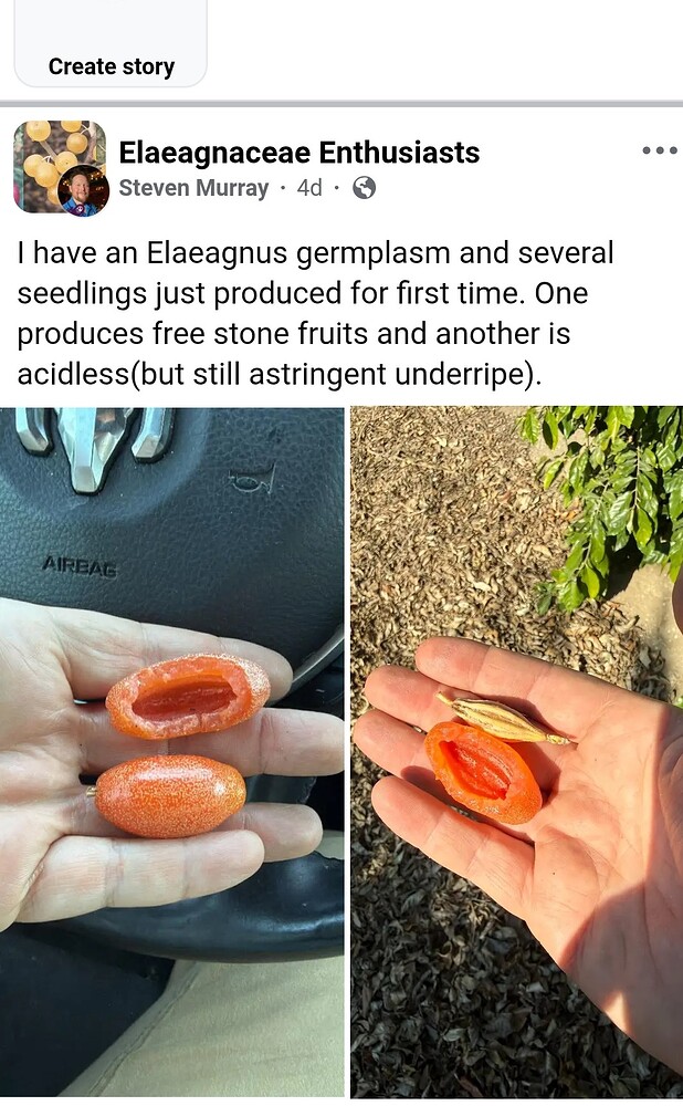 Screenshot_20260323-181400_Free Adblocker Browser~2