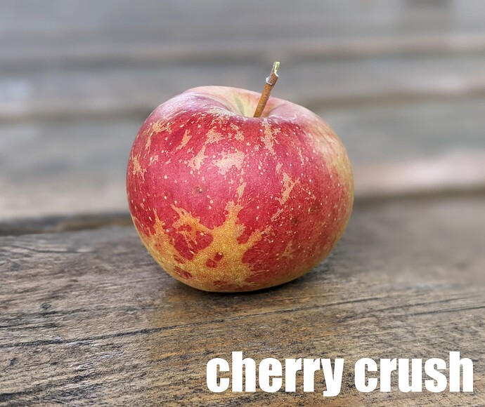 Cherry Crush_2025