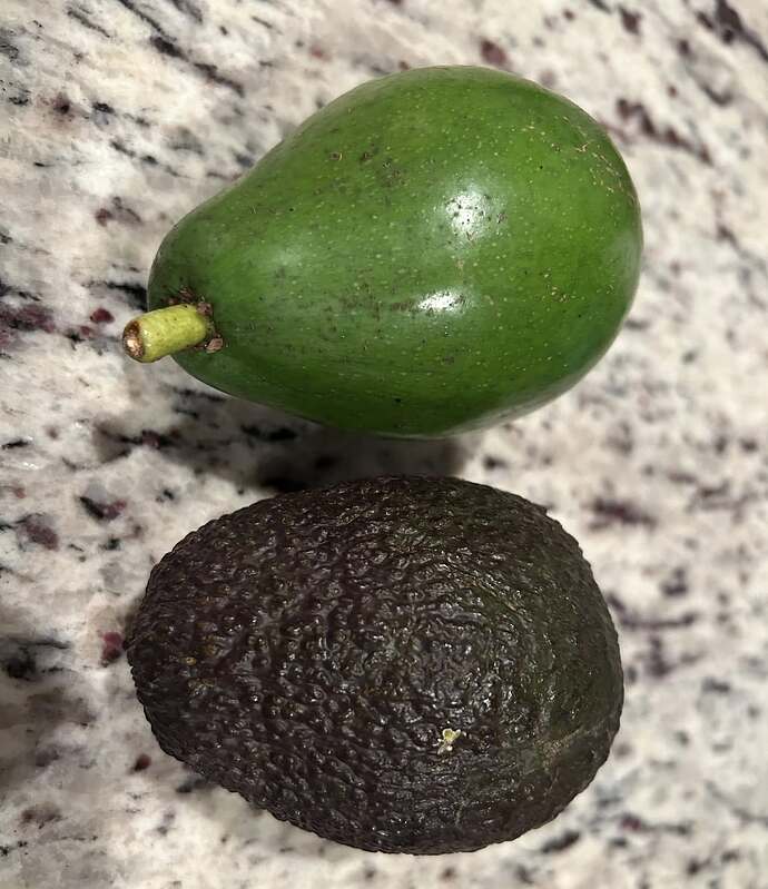 540907383_10237046027192188_8062530061320645680_n