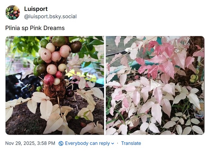 WhatsApp Image 2025-11-29 at 15.59.23