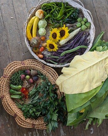 PXL_20250909_214011868