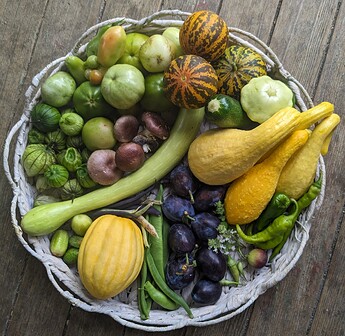 IMG_20240925_134039_421