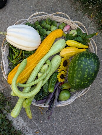 PXL_20250927_003136607