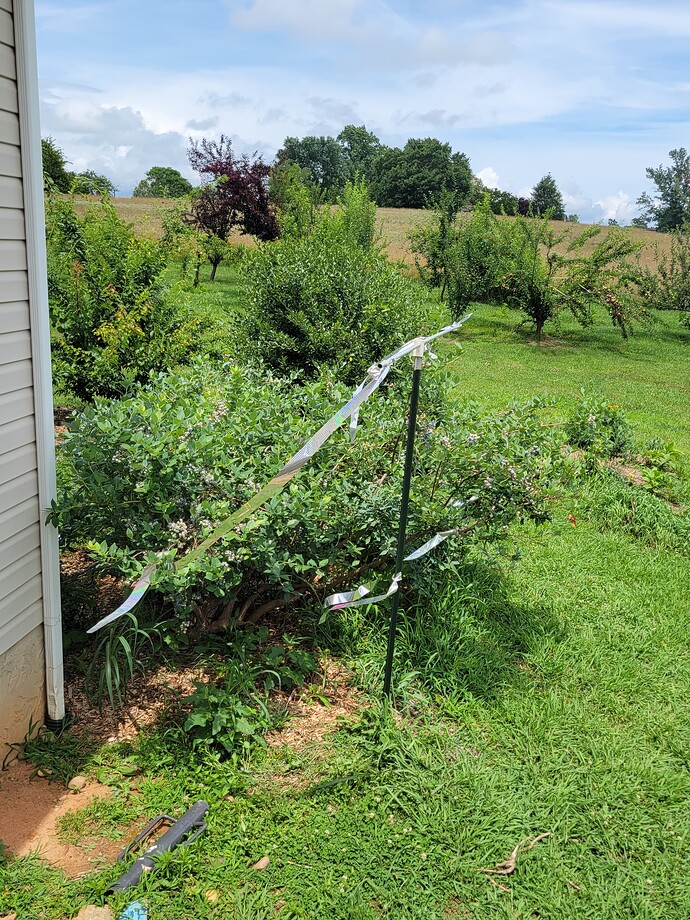 17498383509256397929220689835895