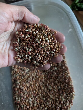 PXL_20251001_190632555