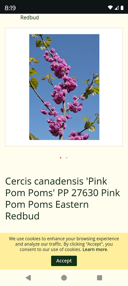 Screenshot_20260406-081907