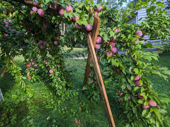 PXL_20250827_130326421