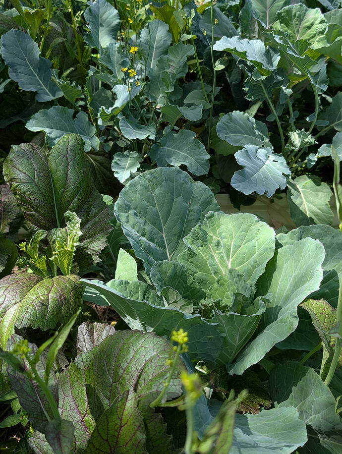PXL_20260624_190020792